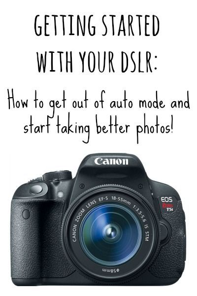 A beginner’s guide to taking better photos with a DSLR. How to stop using the flash, get out of auto mode, and start taking better