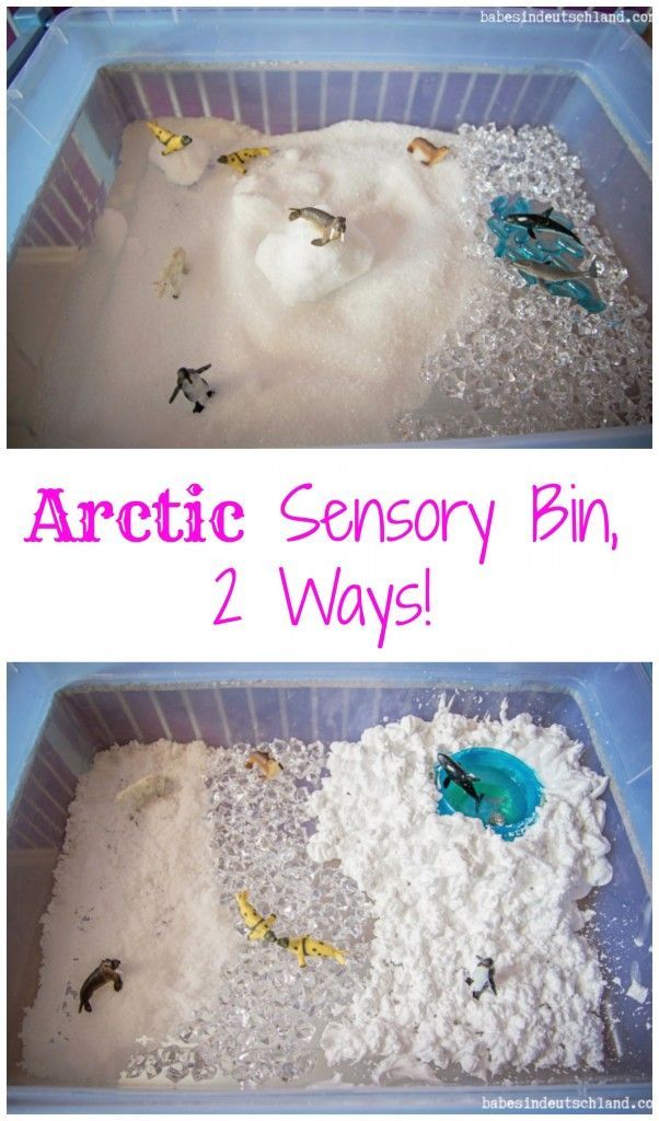 Arctic Sensory Bin, Two Ways! – Life Lesson Plans