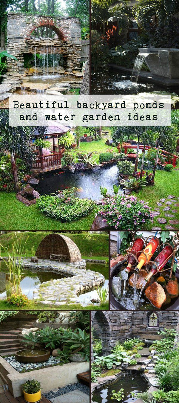 Beautiful backyard ponds and water garden ideas