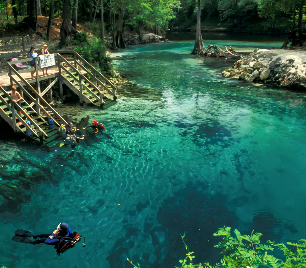 Blue Springs State Park, 40 minutes from Orlando, is a winter favorite among scuba divers, snorkelers, and manatees alike.
