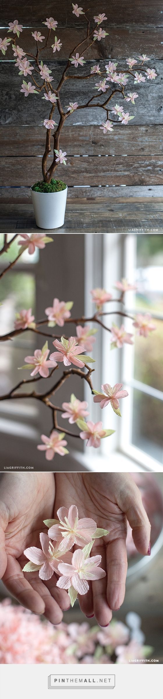 Crepe Paper Cherry Blossom Branches – Lia Griffith