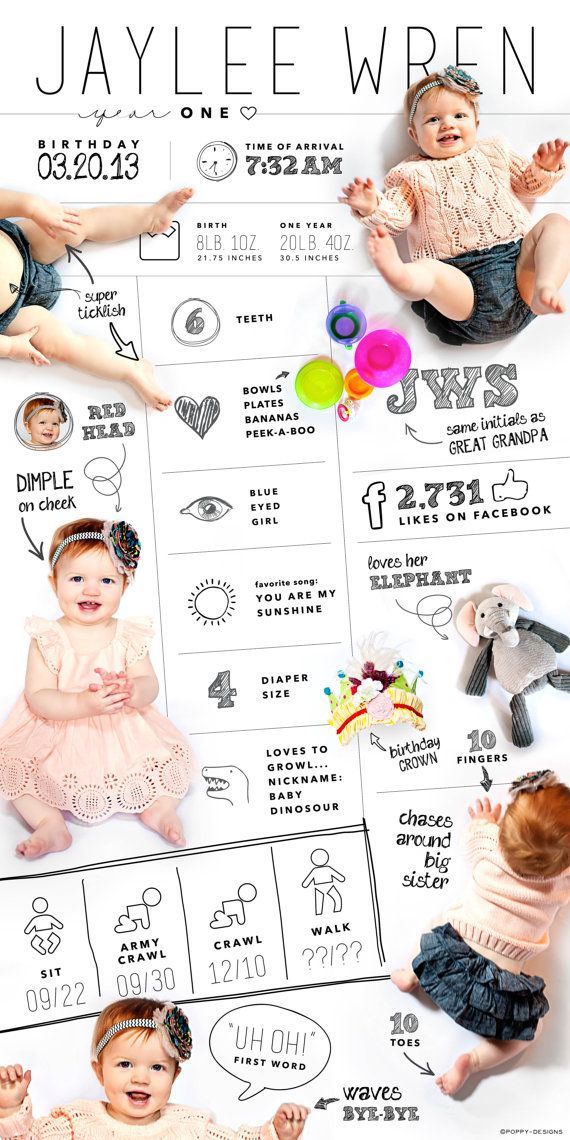custom designed one year baby infographic by poppydesignsboutique