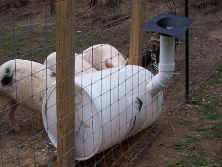 DIY Pig Feeder Plans – This simple design allows you to add their feed from outside the pen.
