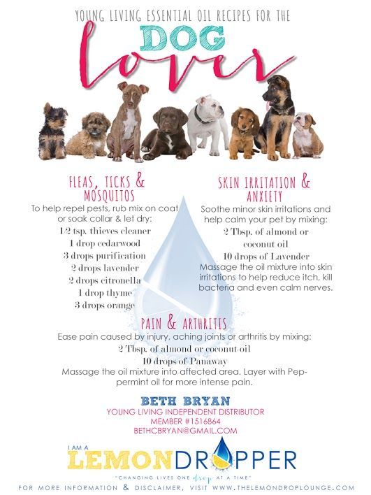 Essential Oil Recipes for Dogs: Treat fleas and ticks, mosquitoes, skin issues, anxiety, and arthritis and more- also click