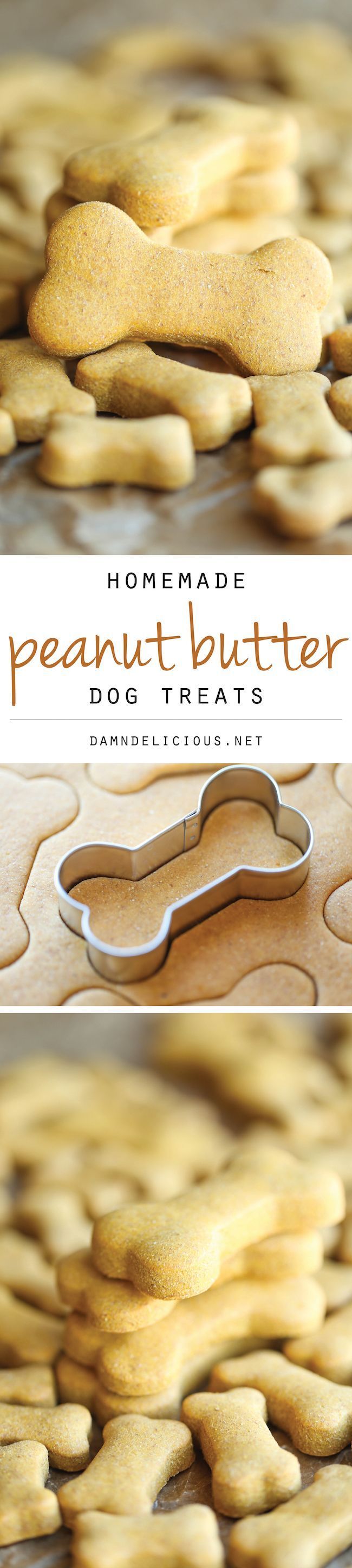 Homemade Peanut Butter Dog Treats – The easiest homemade dog treats ever – simply mix, roll and cut. Easy peasy, and so much
