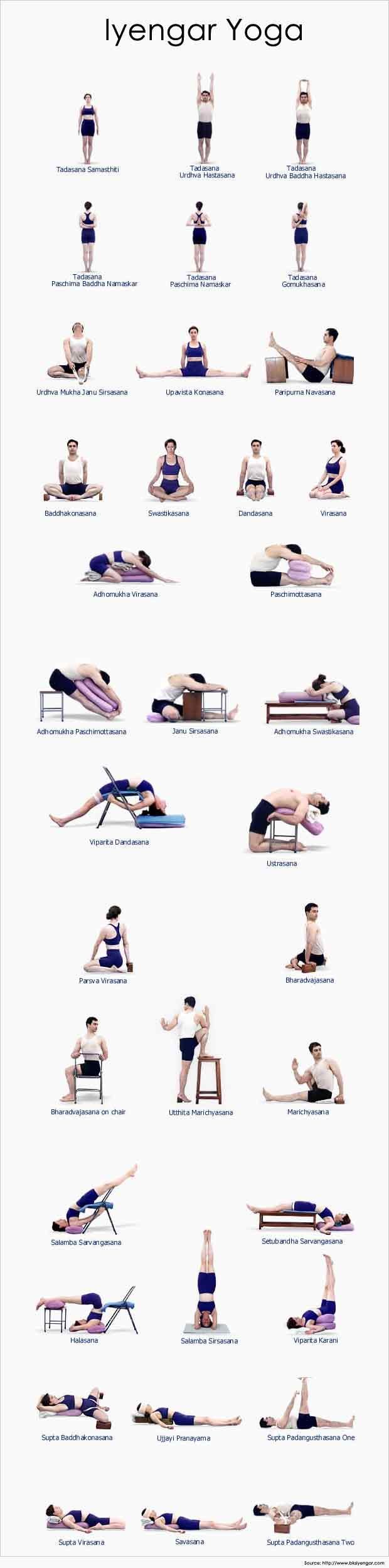 Iyengar yoga poses consist of many traditional yoga postures and about 14 variations of pranayama. The yoga poses evolve into more