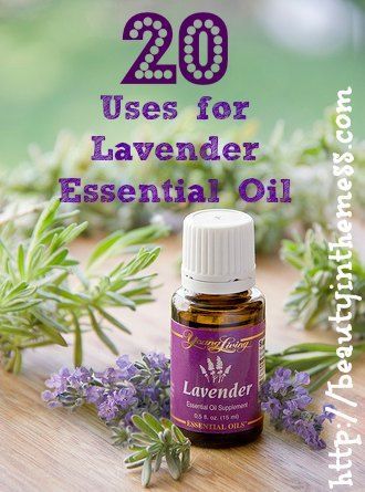 Lavender essential oil has many surprising uses. Click here to learn all the ways lavender oil can help you!