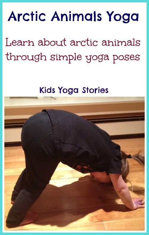 Learn about Arctic Animals through books and simple yoga poses for kids – Kids Yoga Stories