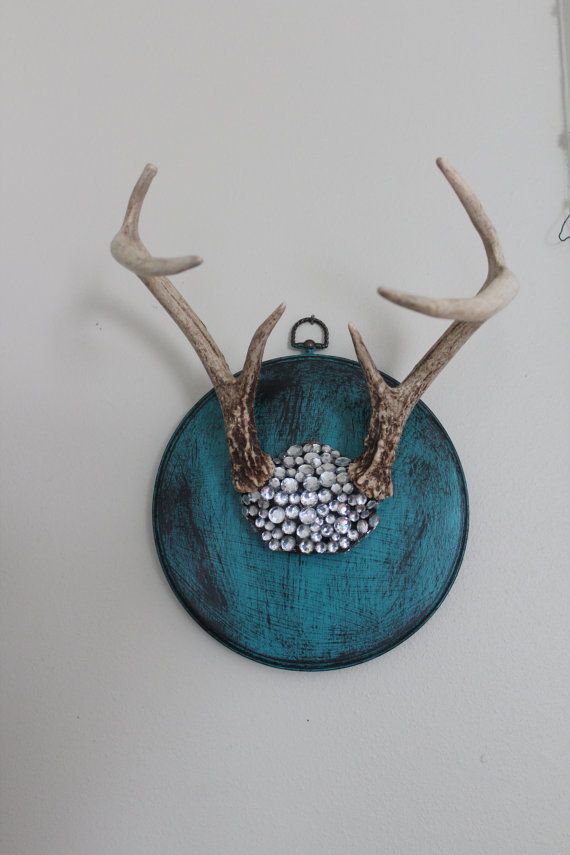 SOLD Mounted Deer Antlers and Skull Covered in by SouthernREbelle, $85.00