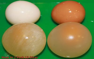 The Dissolving Egg Shell – A “Must Try” science experiment for kids that is super easy to do at home & you probably have