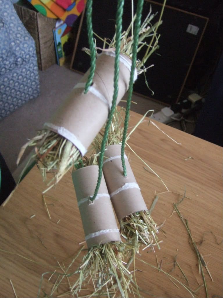 The incredibly versatile TP tube filled with hay & string.