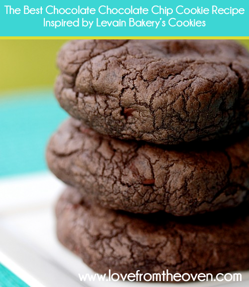 The Very Best Chocolate Chocolate Chip Cookie Recipe Inspired By Levain Bakery.  Great big rich fudgey cookies!   at @Christi |