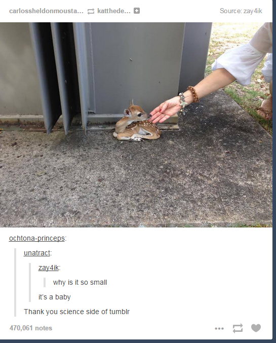 “Why is it so small?” “It’s a baby.” When the science side of Tumblr solved yet another mystery. | 23 Of The Cutest Things That