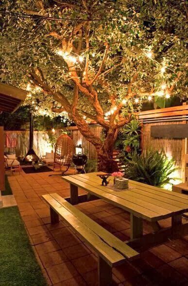 Backyard the lighting the privacy fencing @Parilyn Hairod  — You need this in your backyard!
