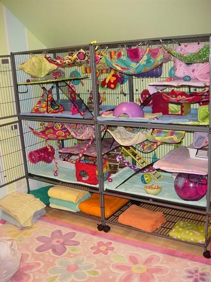 coolest rat cage ever. Oscar would be pleased.