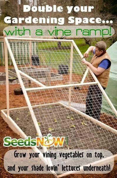 Garden planter. This is a great idea and would be so much easier to pick than the old fashioned way.