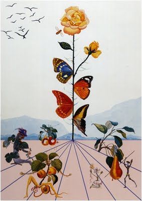 Salvador Dali The Butterfly Effect