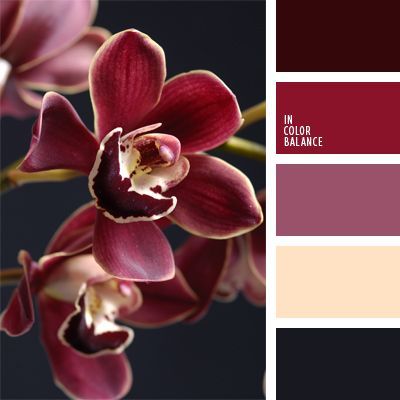 The color palette number 906  beige, burgundy, graphite gray, reddish-purple, cream, deep pink color combination for interior