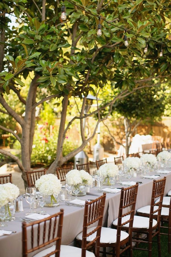 White Hydrangea Arrangements on Long Reception Tables. Simple elegance. I LOVE!