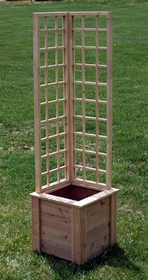 A small trellised planter perfect for patios and corner accents.
