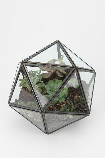 on my top 10 #urbanoutfitters list: Turning Triangles Terrarium