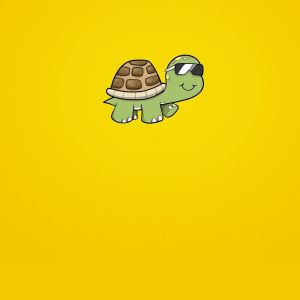 Cute Turtle Pictures - Cute Turtle Pictures