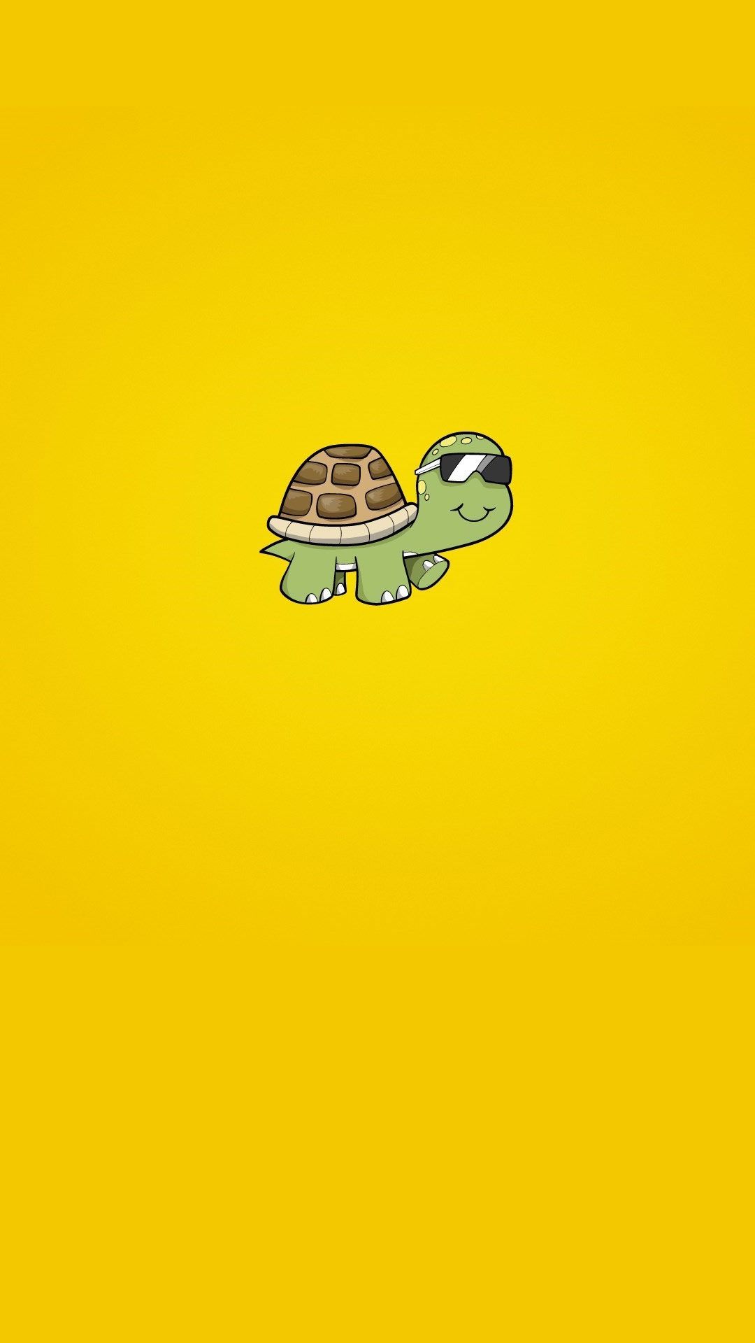 Cute Turtle Wallpapers -   Cute Turtle Pictures