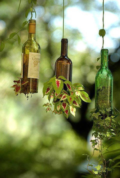 #Wine bottle planters. So cute!