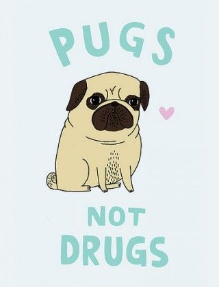 I have the same shirt – it's so true! Pugs are way better than meth…rememb