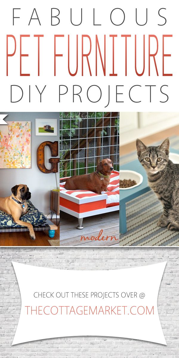 DIY Pet Furniture Ideas