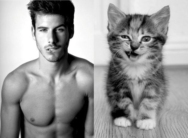 12 Hot Men And Their Feline Counterparts – seriously can't stop laughing at