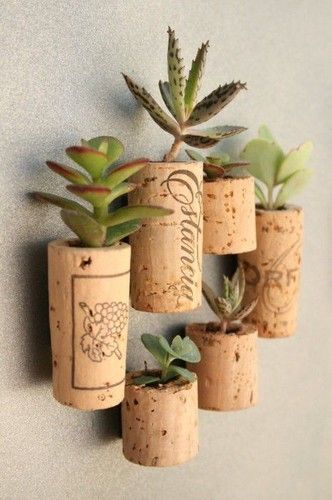 Creative Cork Plants :) We have a small apartment so I love this!