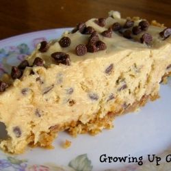 Peanut Butter Chocolate Chip Pie – A super easy, homemade pie — don't skip