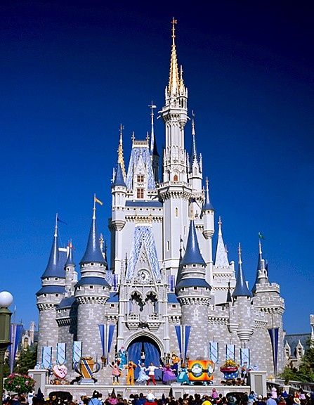 Things I Wish I'd Known Before My First Disney World Vacation -   Disney World Tips and Hacks Collection