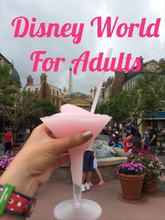 Walt Disney World For Adults -   Disney World Tips and Hacks Collection