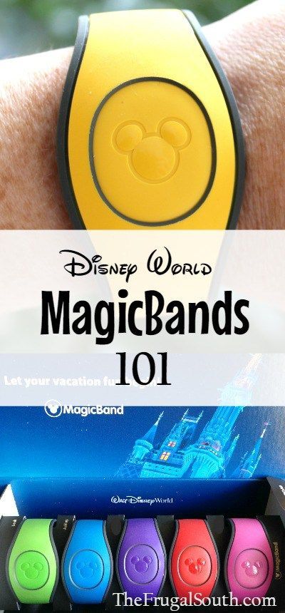 Disney Magic Band 101 (Plus a Peek at the NEW Magic Band 2.0 -   Disney World Tips and Hacks Collection