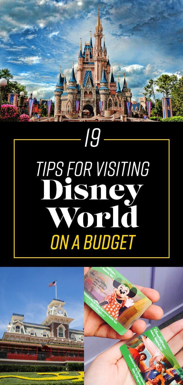 19 Genius Ways To Have A Perfect Disney World Vacation On A Budget -   Disney World Tips and Hacks Collection