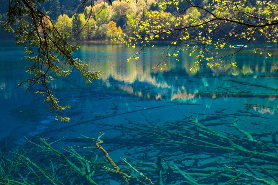 JIUZHAIGOU -   Swimming in purity – 33 places to swim in the world’s clearest water