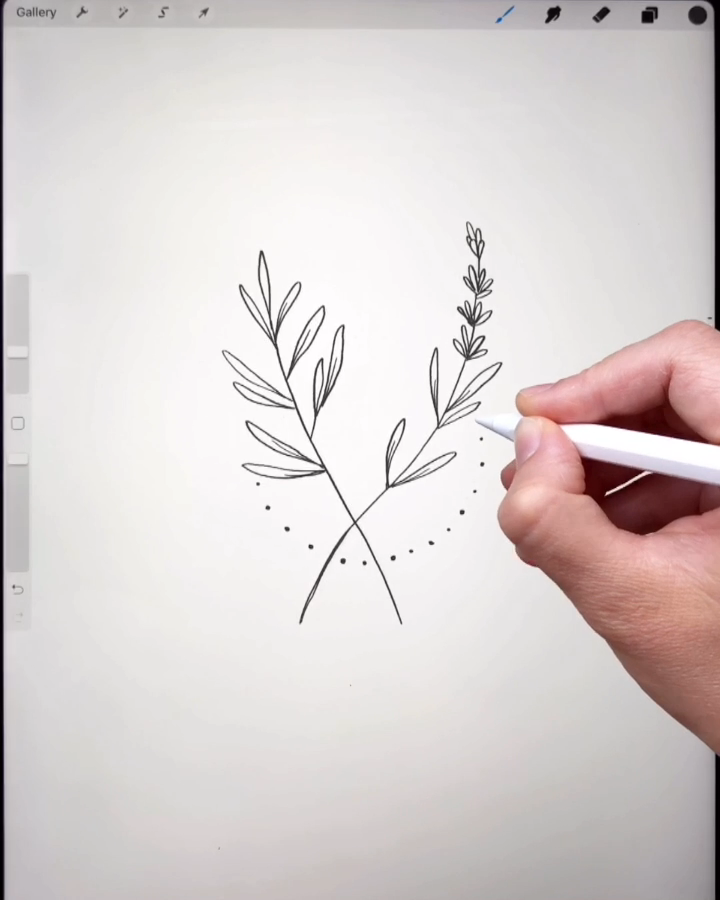 Botanical drawing in Procreate Ipad -   10 plants Drawing paint ideas