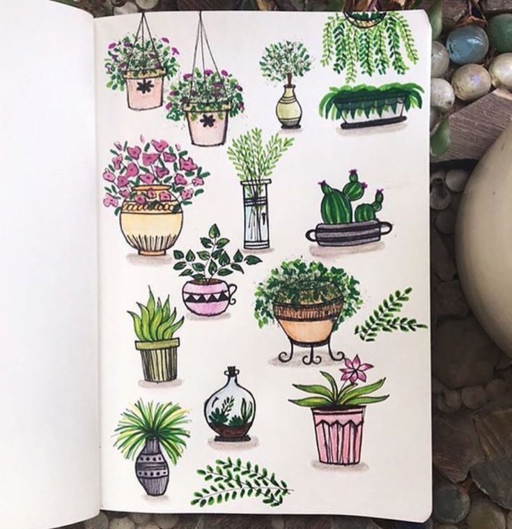 Bullet Journal Plant Doodles — Sweet PlanIt -   10 plants Drawing paint ideas
