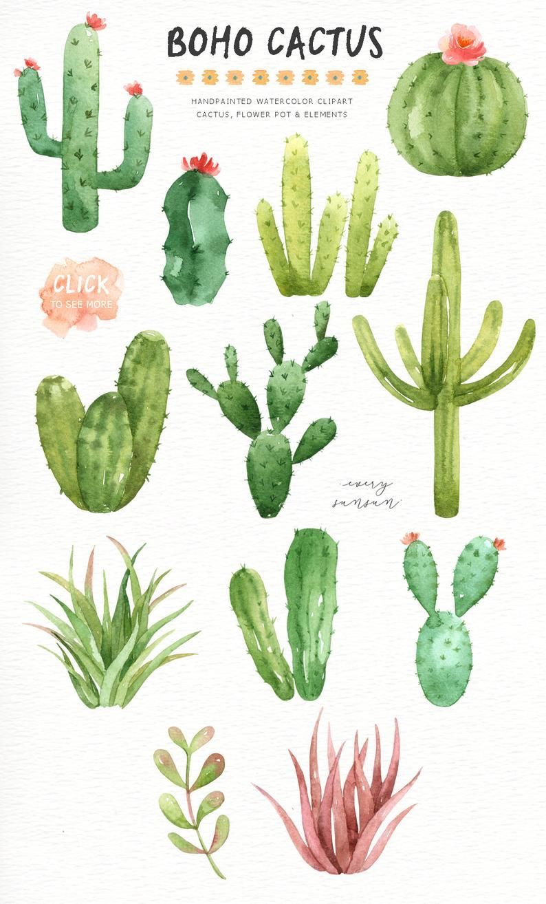 Boho Cactus Watercolor Cliparts, Boho Clipart, Botanical Plant, Tropical Clipart, Cactus Pack, Succulent Wedding Invitation, Cactus Wall Art -   10 plants Drawing paint ideas