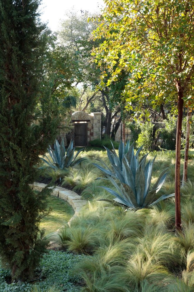 Ornamental Grass Is a Low-Maintenance, Drought-Resistant Plant Wonder -   14 garden design Mediterranean grass ideas