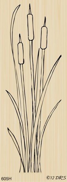 Long Tall Cattails - 605H -   14 tall plants Painting ideas