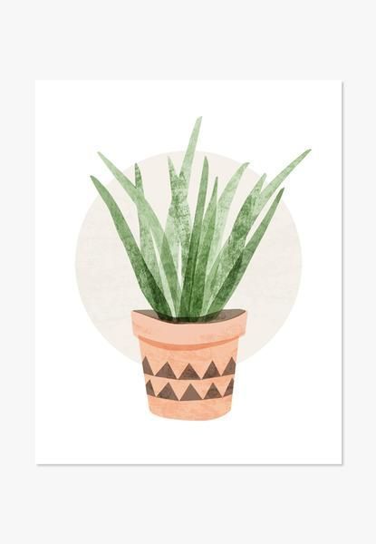 Art Print: Tall Cactus Succulent -   14 tall plants Painting ideas