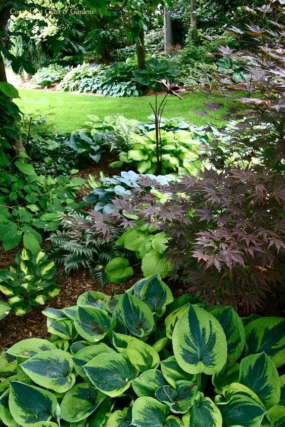 Stunning Shade Gardens | The Happy Housie -   15 plants Background shades ideas