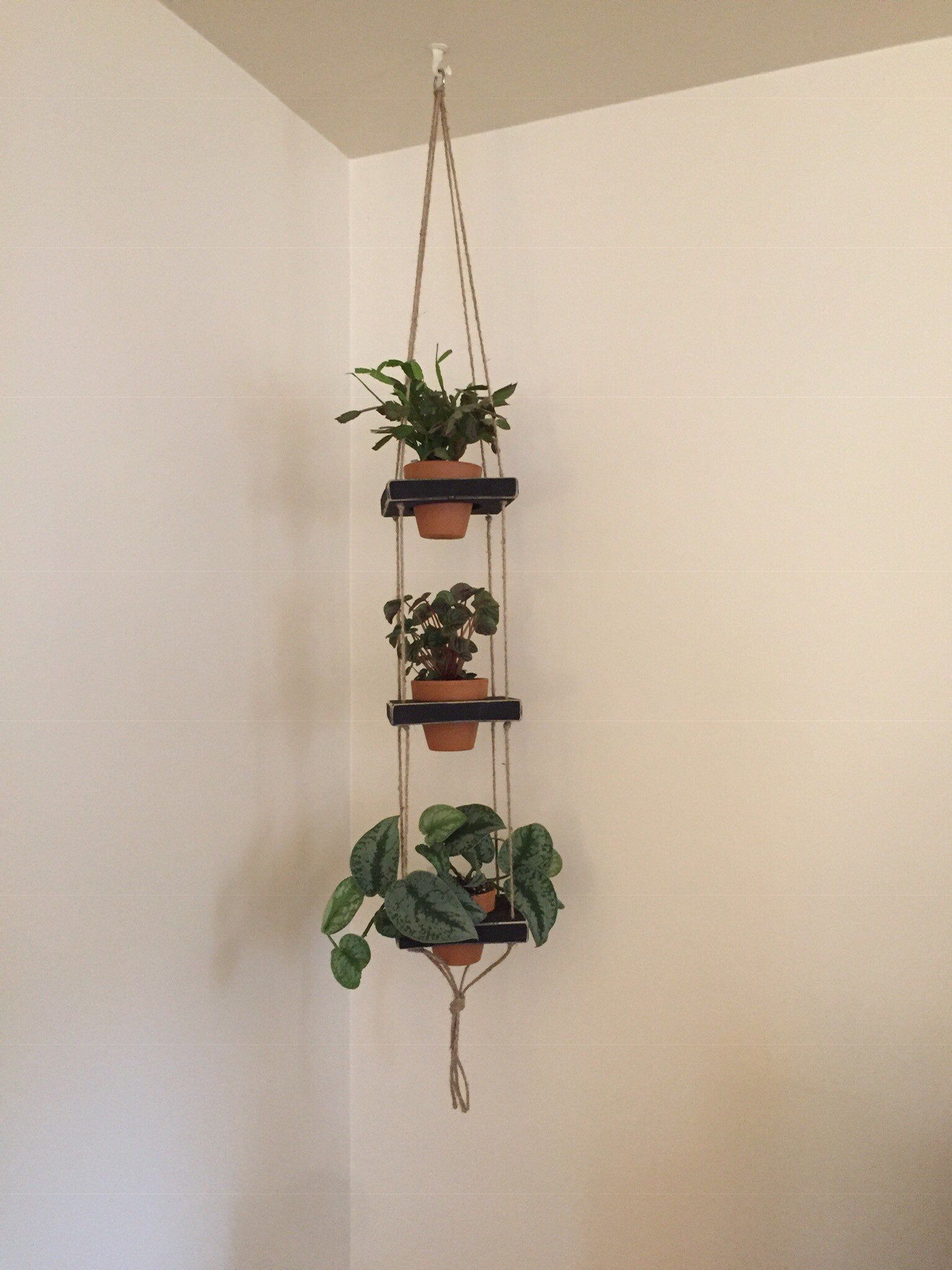 Hanging plant shelf, 3 tiered with Terracotta pots -   15 plants Background shades ideas