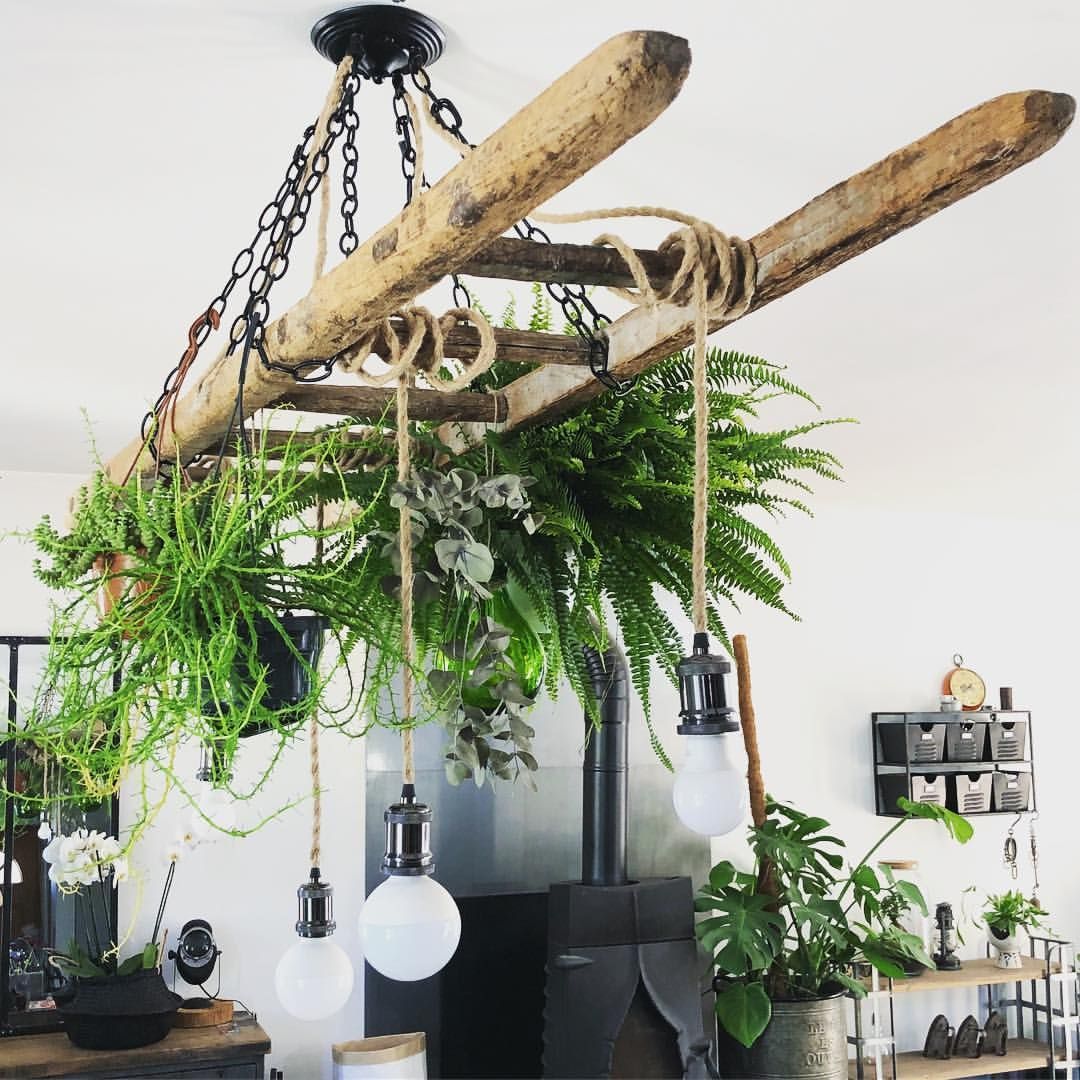 LaetitiaFleur on Instagram: “Petit ? petit, l'?chelle « se green »  Voil? que j'invente des verbes рџ?‚ Une petite foug?re, j'avoue que ce n'est pas une plante que je…” -   15 plants Interieur echelle ideas