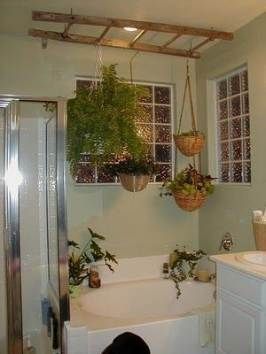 Plants hanging from ceiling bedroom 41 ideas for 2019 -   15 plants Interieur echelle ideas