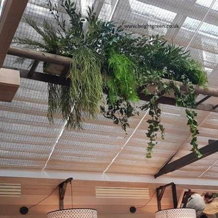 36 Ideas for plants interior restaurant dining rooms -   15 plants Interieur echelle ideas