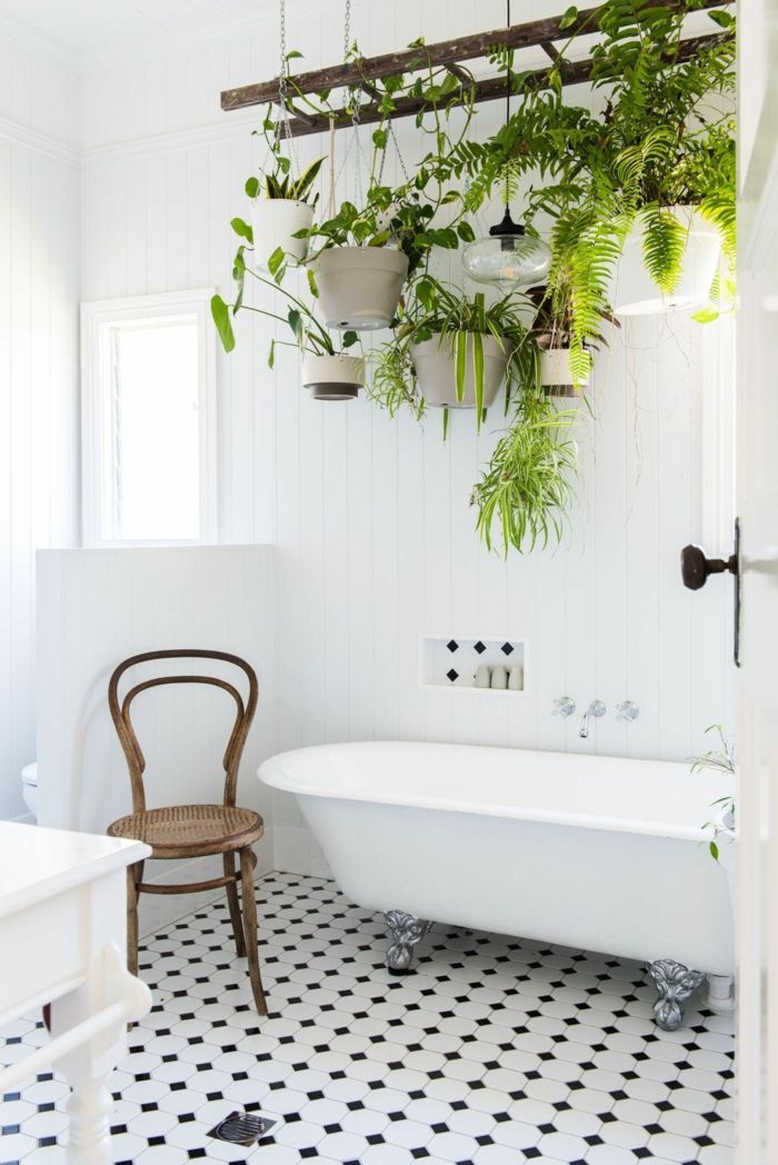 ? 1001 + Id?es pour votre plante pour salle de bain + ambiances spa et zen -   15 plants Interieur echelle ideas
